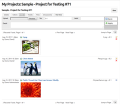wbTeamPro Client Area File Management