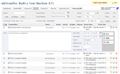 wbTeamPro Editing Project Timelog